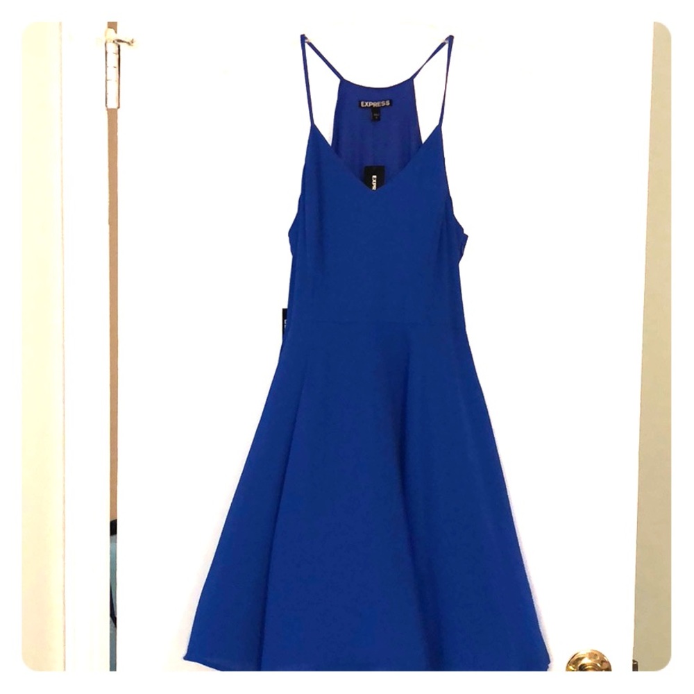 Express Fit and Flare Cocktail Dress - Brand New!